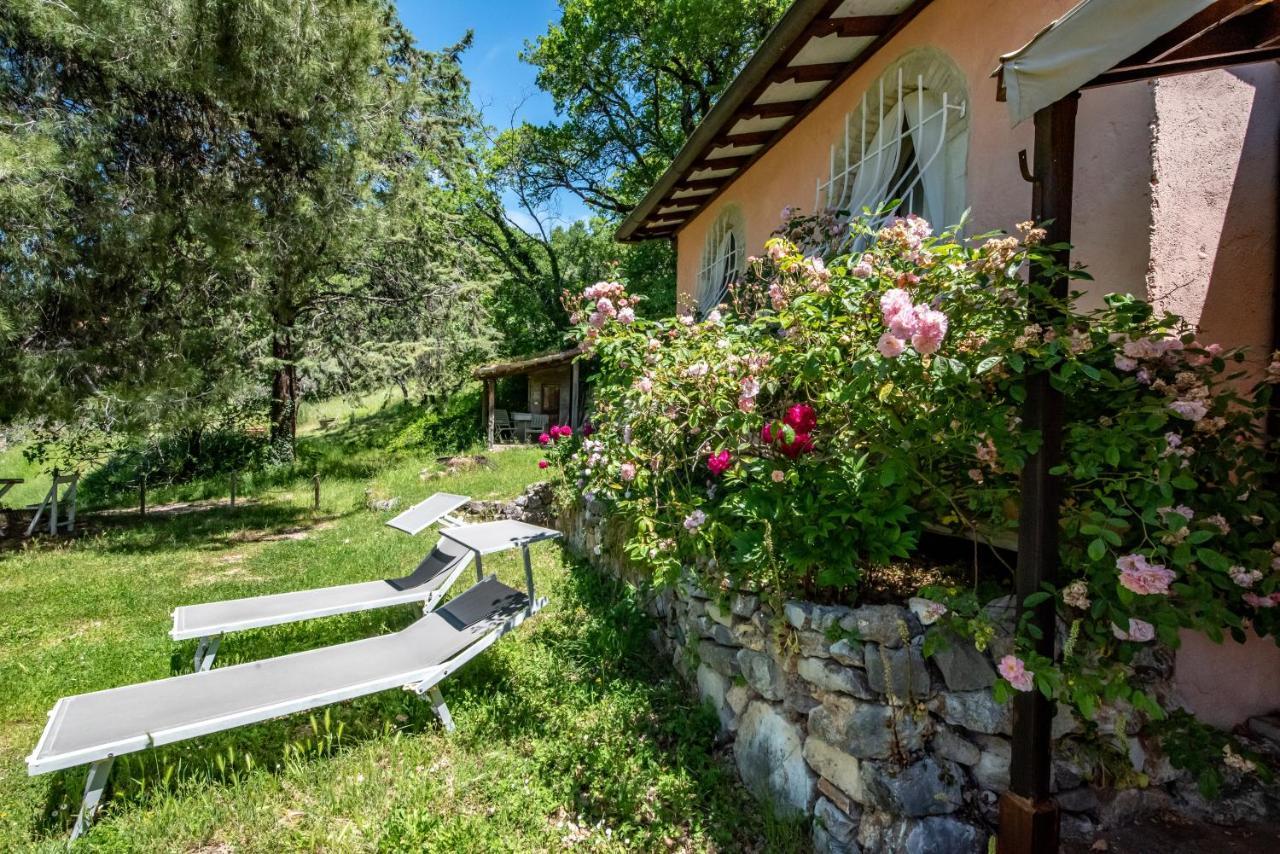 Da Bacchetta Appartement Assisi Buitenkant foto