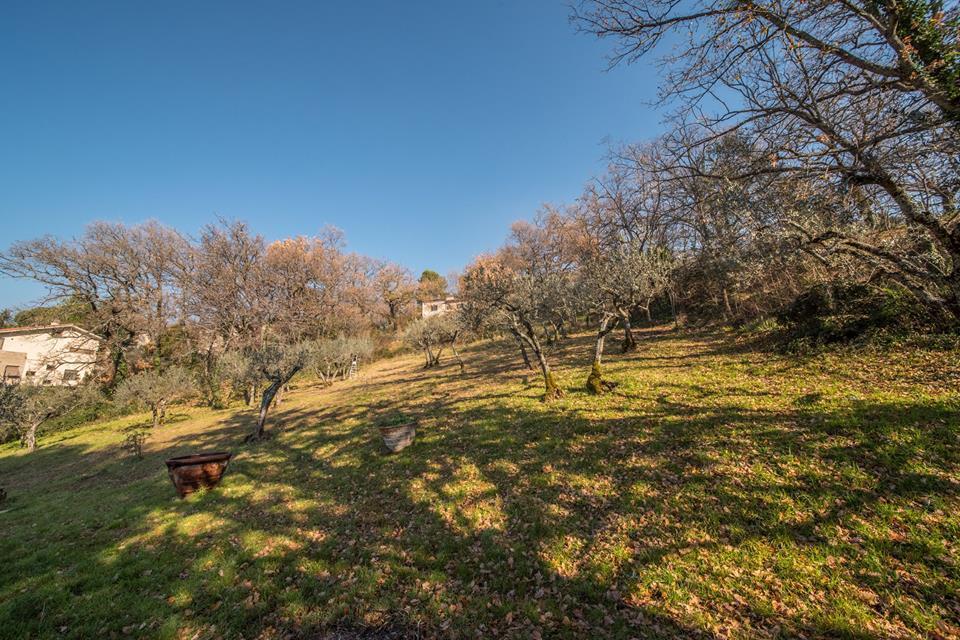 Da Bacchetta Appartement Assisi Buitenkant foto